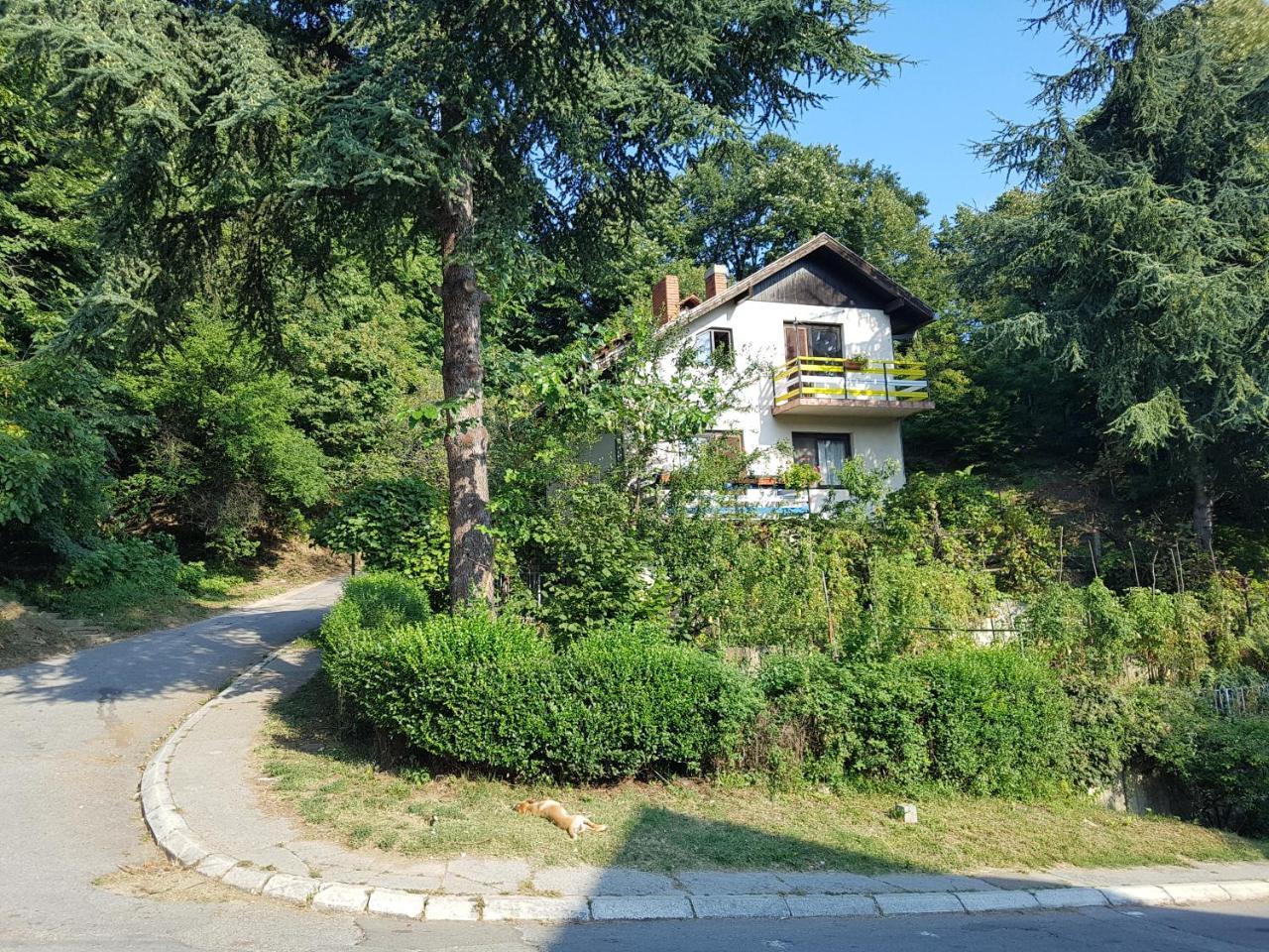 Nena & Rale Rooms Donji Milanovac Eksteriør bilde